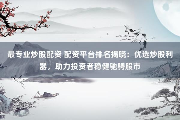 最专业炒股配资 配资平台排名揭晓：优选炒股利器，助力投资者稳健驰骋股市