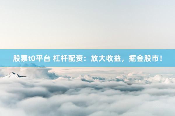 股票t0平台 杠杆配资：放大收益，掘金股市！