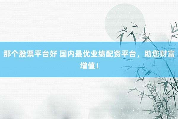 那个股票平台好 国内最优业绩配资平台，助您财富增值！
