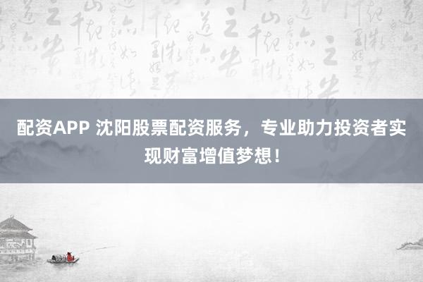 配资APP 沈阳股票配资服务，专业助力投资者实现财富增值梦想！