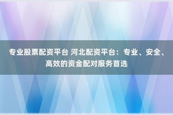 专业股票配资平台 河北配资平台：专业、安全、高效的资金配对服务首选