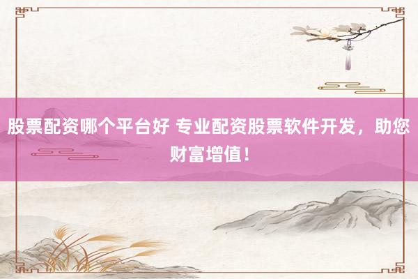 股票配资哪个平台好 专业配资股票软件开发,助您财富增值!