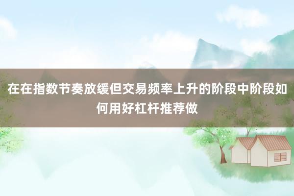 在在指数节奏放缓但交易频率上升的阶段中阶段如何用好杠杆推荐做
