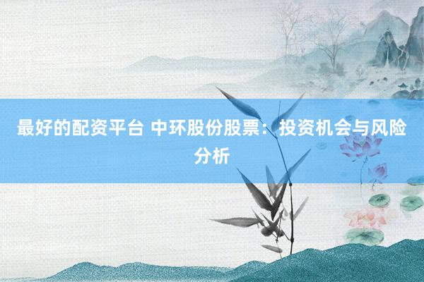 最好的配资平台 中环股份股票：投资机会与风险分析