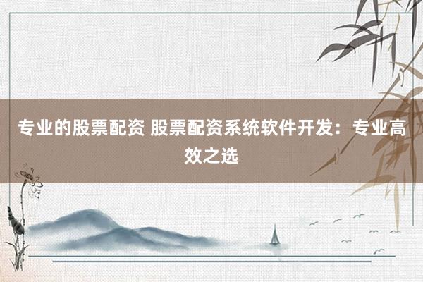 专业的股票配资 股票配资系统软件开发：专业高效之选