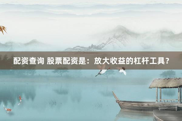 配资查询 股票配资是：放大收益的杠杆工具？